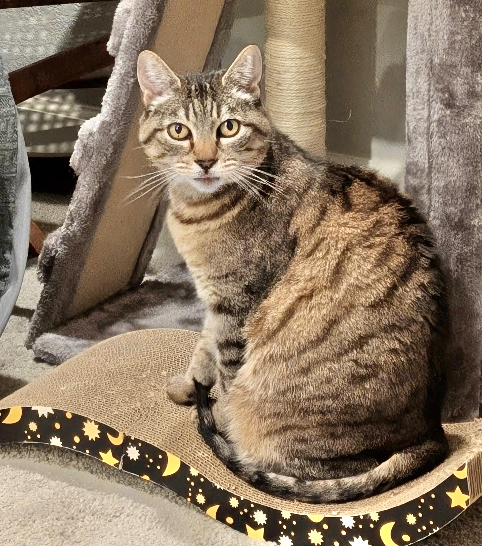 Fiona
