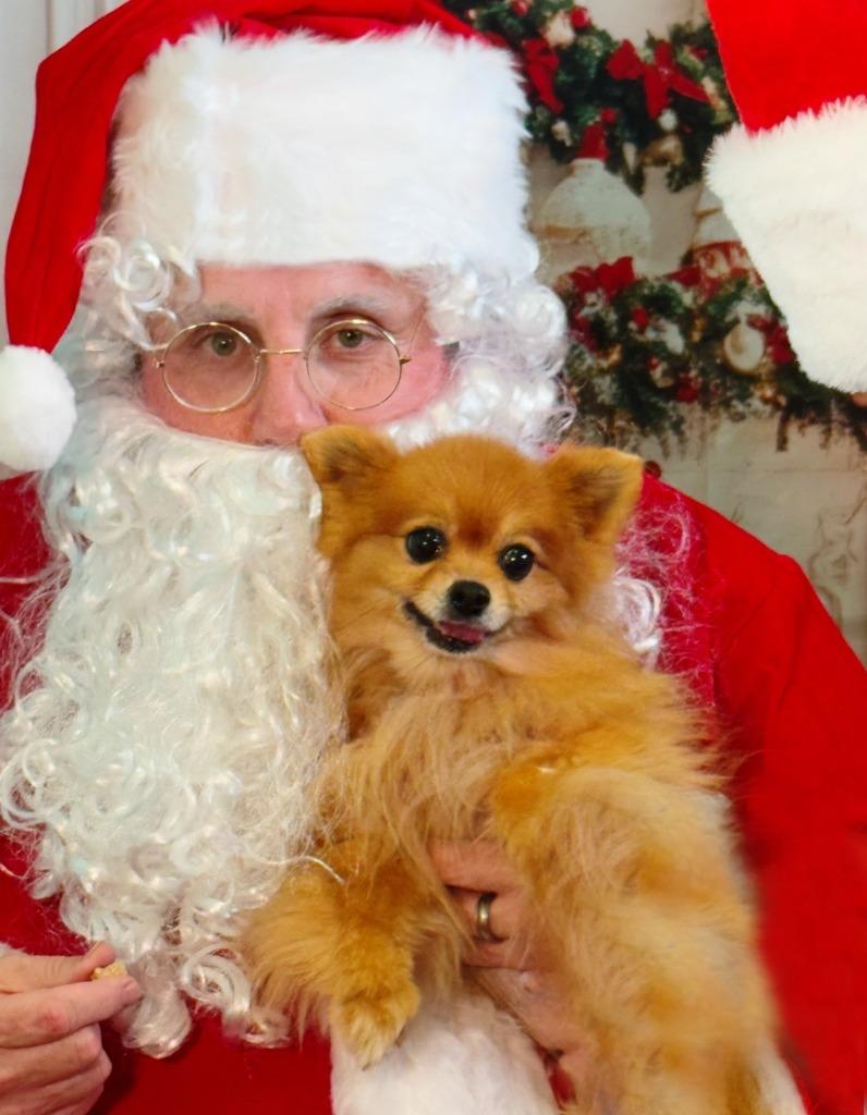 Constance thumbnail 2