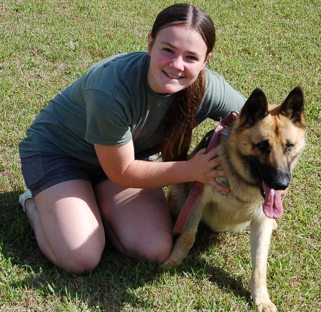 Enlarge NATE, a Adoptable German Shepherd Dog in Preston, CT image 5/6