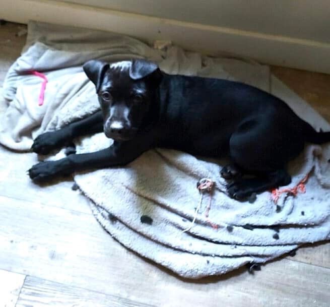 Ruthie photo 1