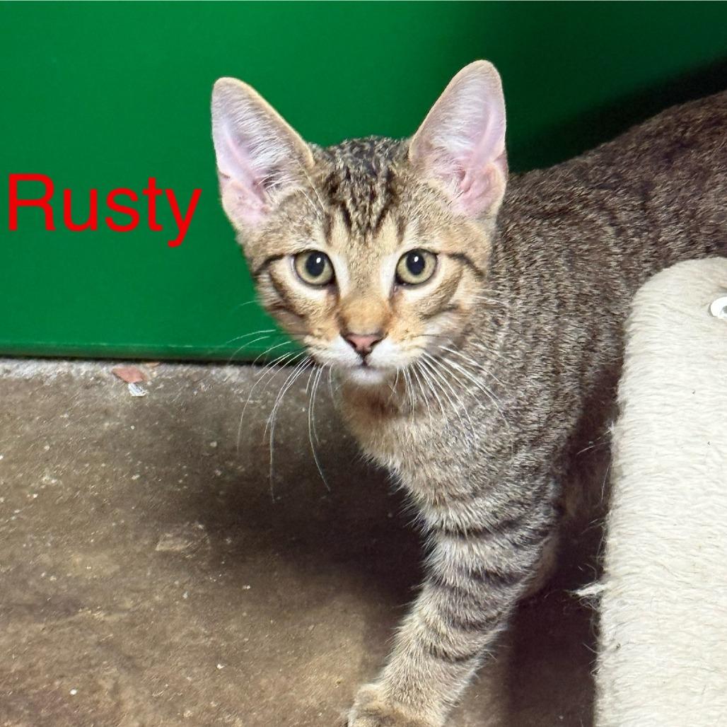 Rusty