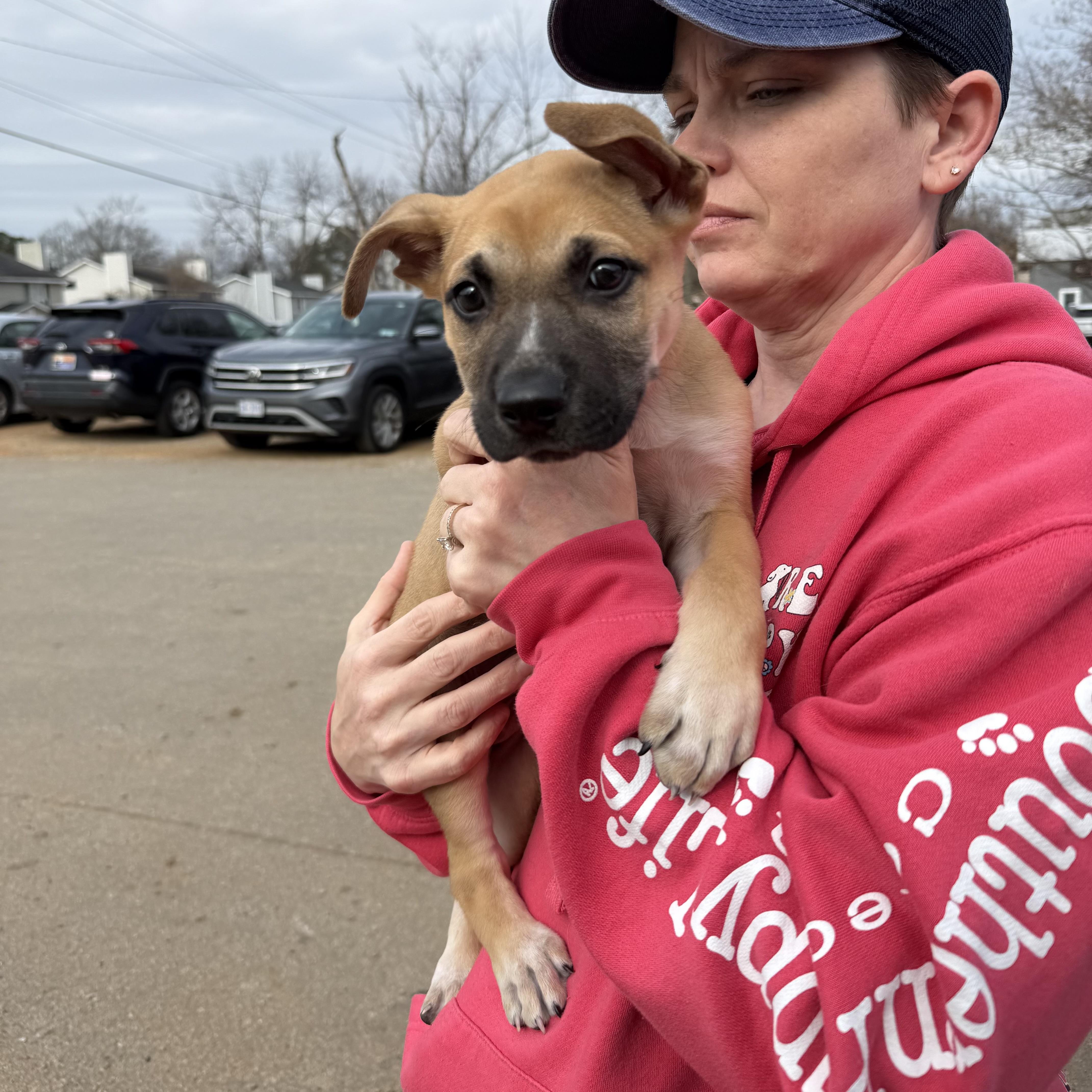 Impending Snowstorm — thumbnail 2