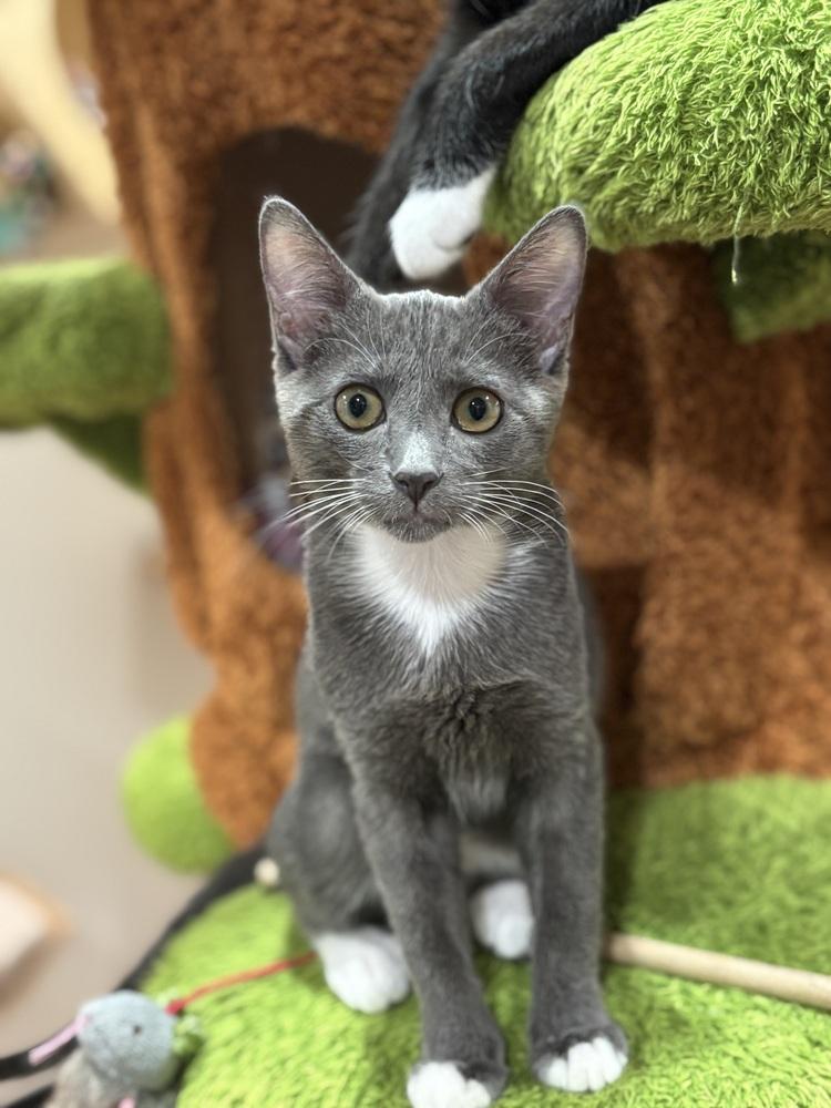 Milky Way — thumbnail 3