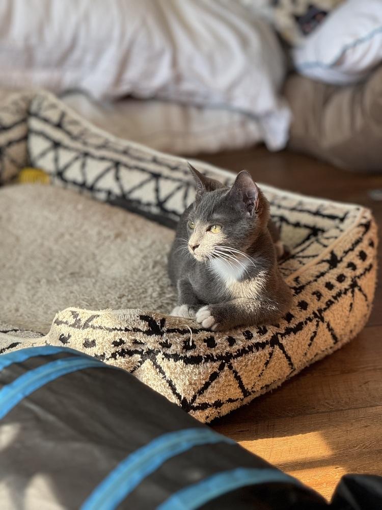 Milky Way — thumbnail 4