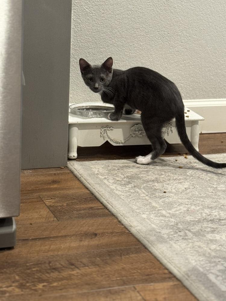 Milky Way — thumbnail 5