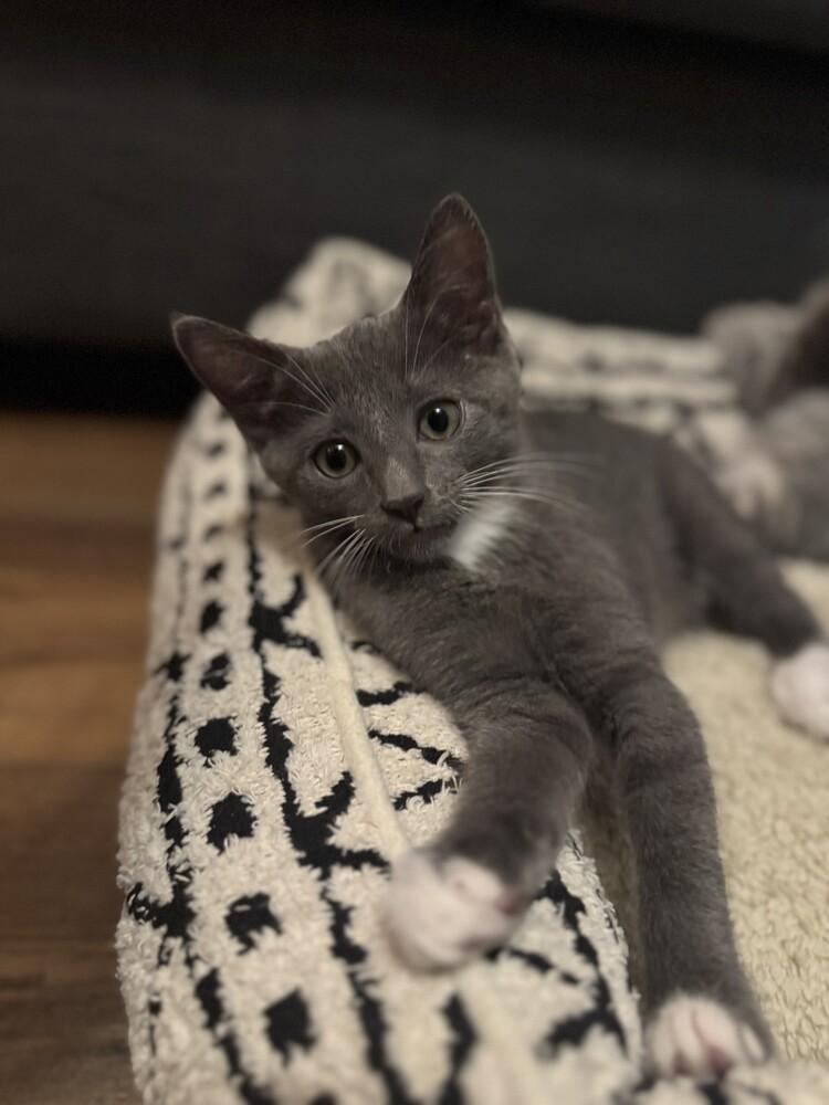 Milky Way — thumbnail 6