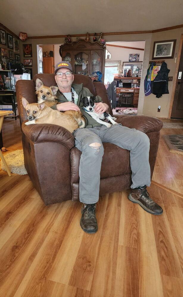 Tessa, a Adoptable mixed breed in Bend, OR image 2/4