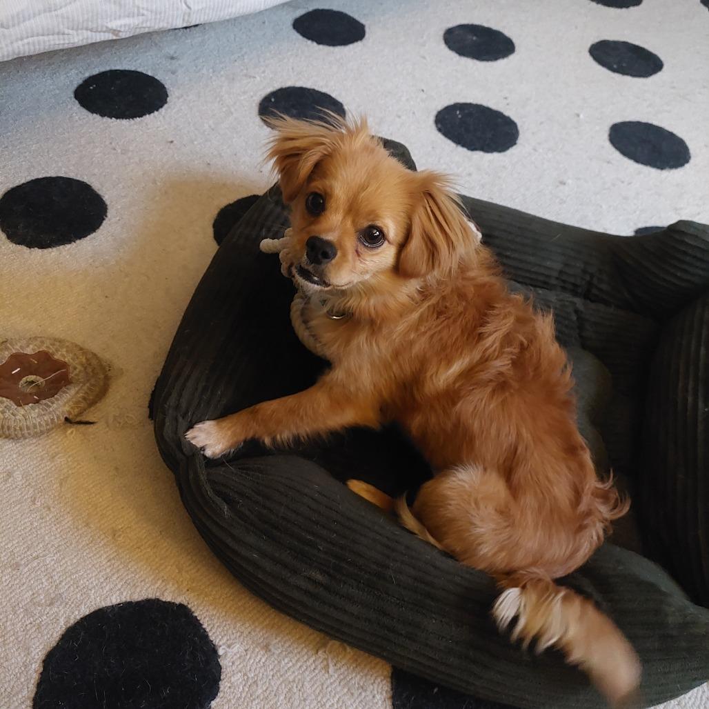 Harken — thumbnail 6