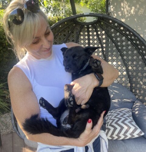 Jett- Courtesy Post photo 2