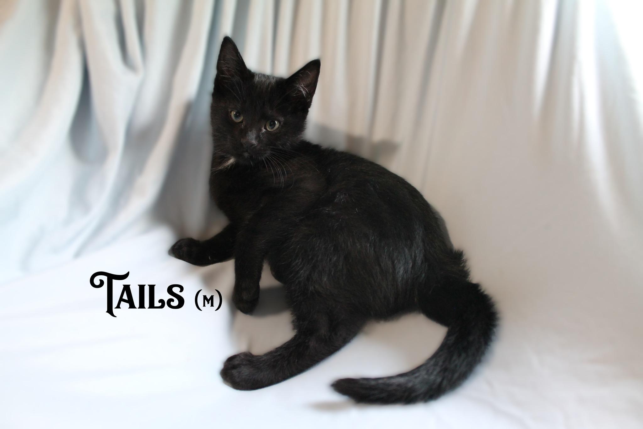 Tails