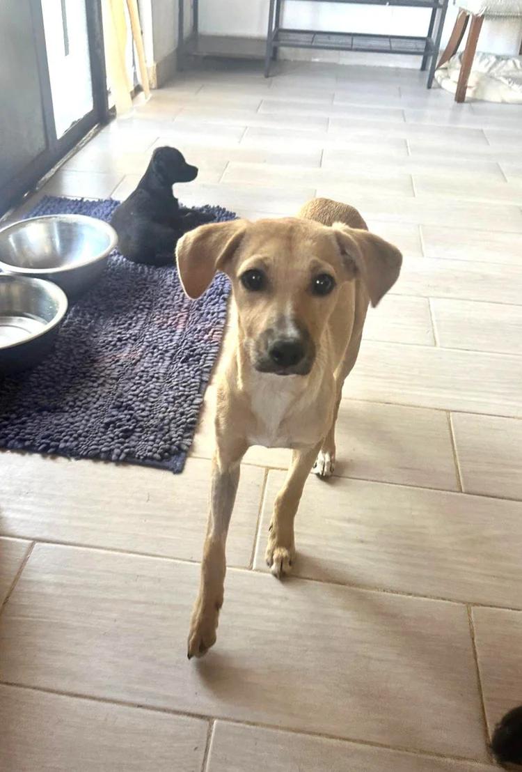 Noelle — thumbnail 2