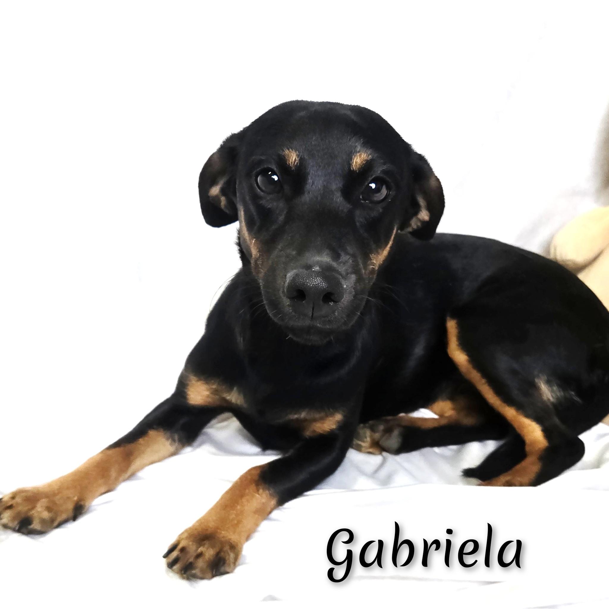 Gabriela thumbnail 2