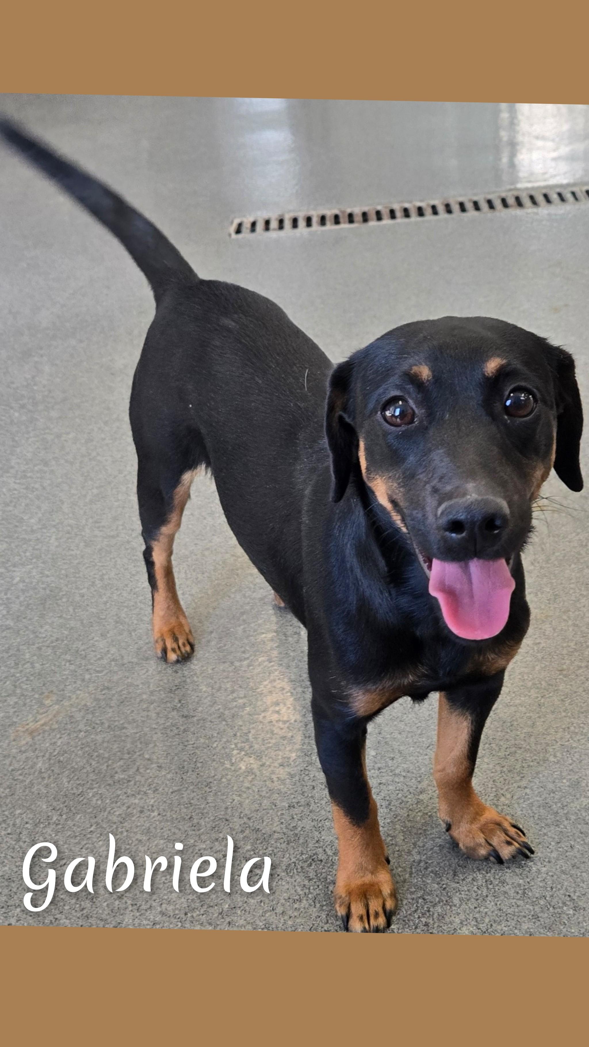 Gabriela thumbnail 3