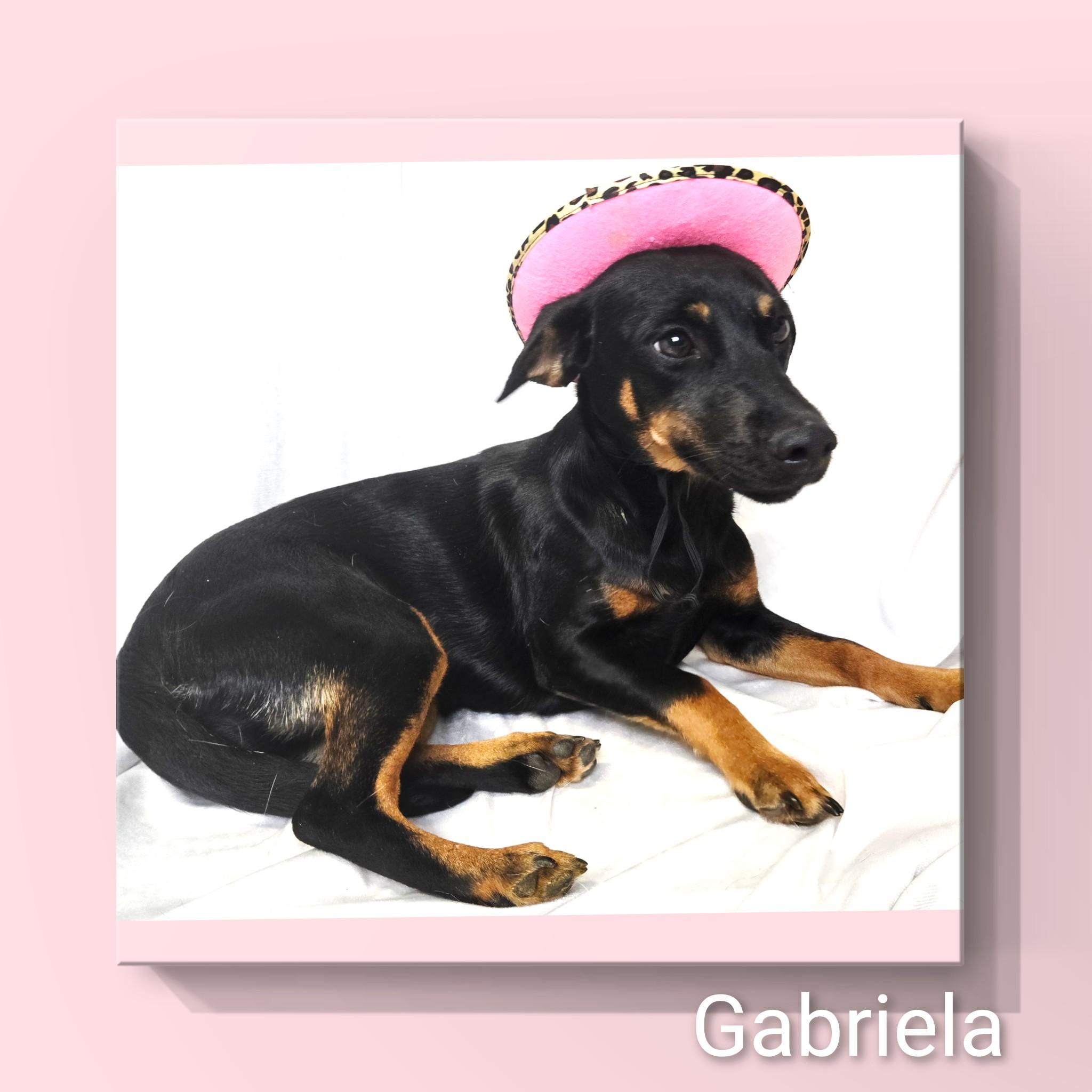 Gabriela thumbnail 5