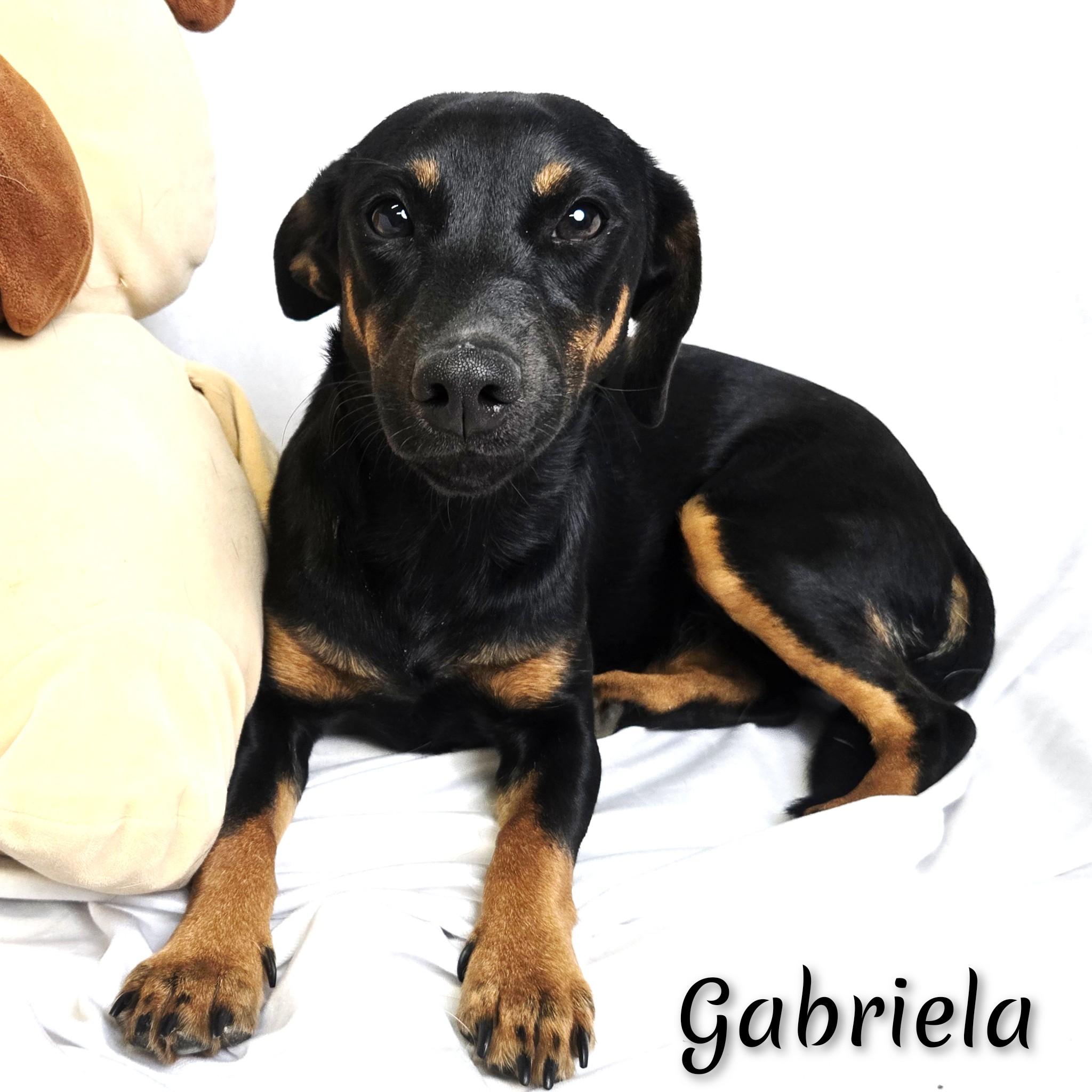 Gabriela thumbnail 6