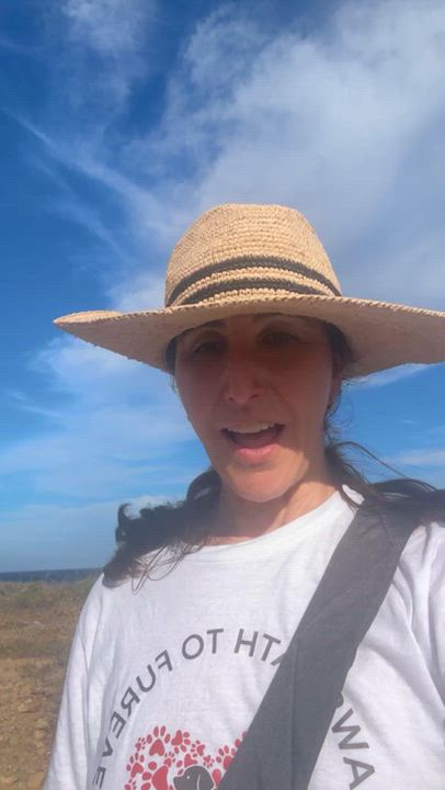 Enlarge Baxter, a Adoptable Mixed Breed in Glen Rock, NJ video 6/6