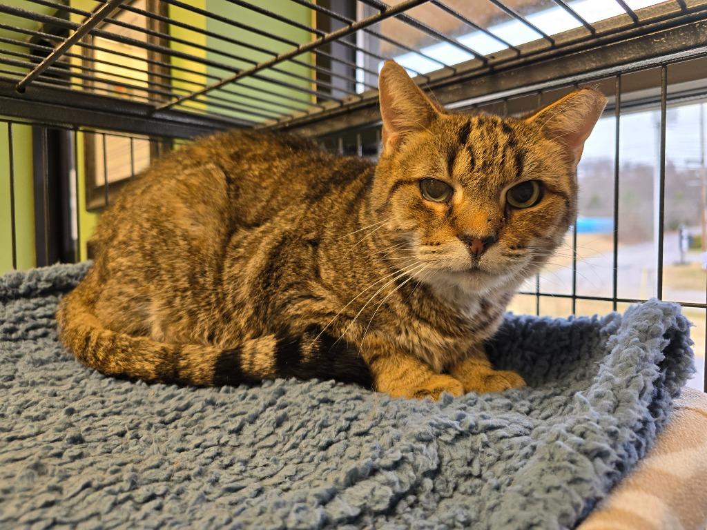 Kyle — thumbnail 2