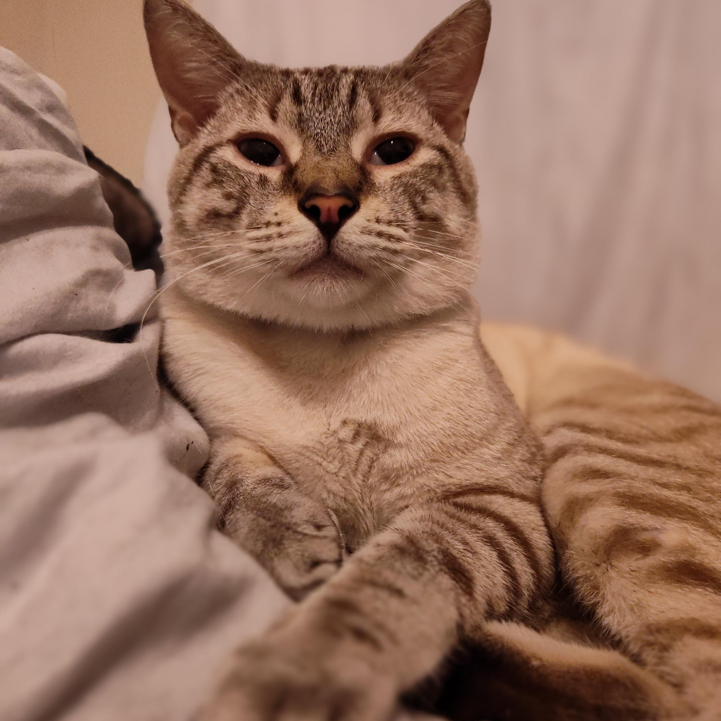 Henry