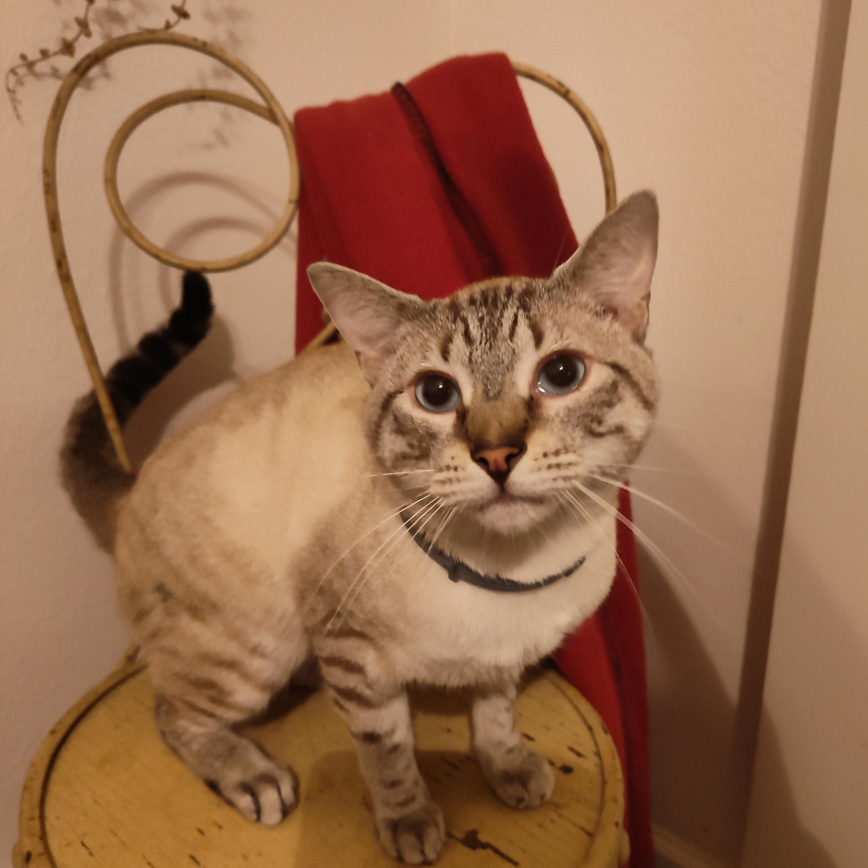 Henry