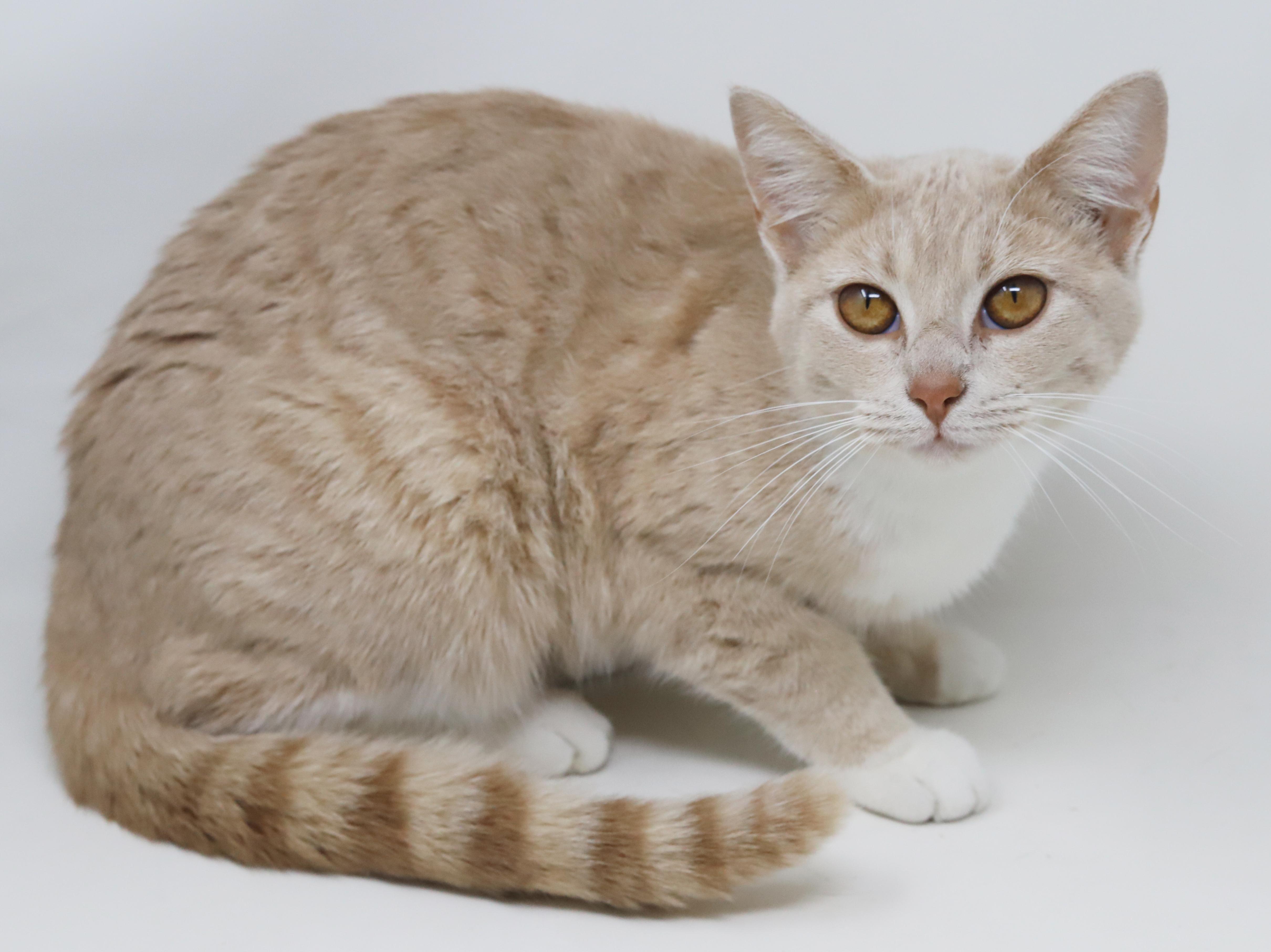 Emma Is Going To thumbnail 2