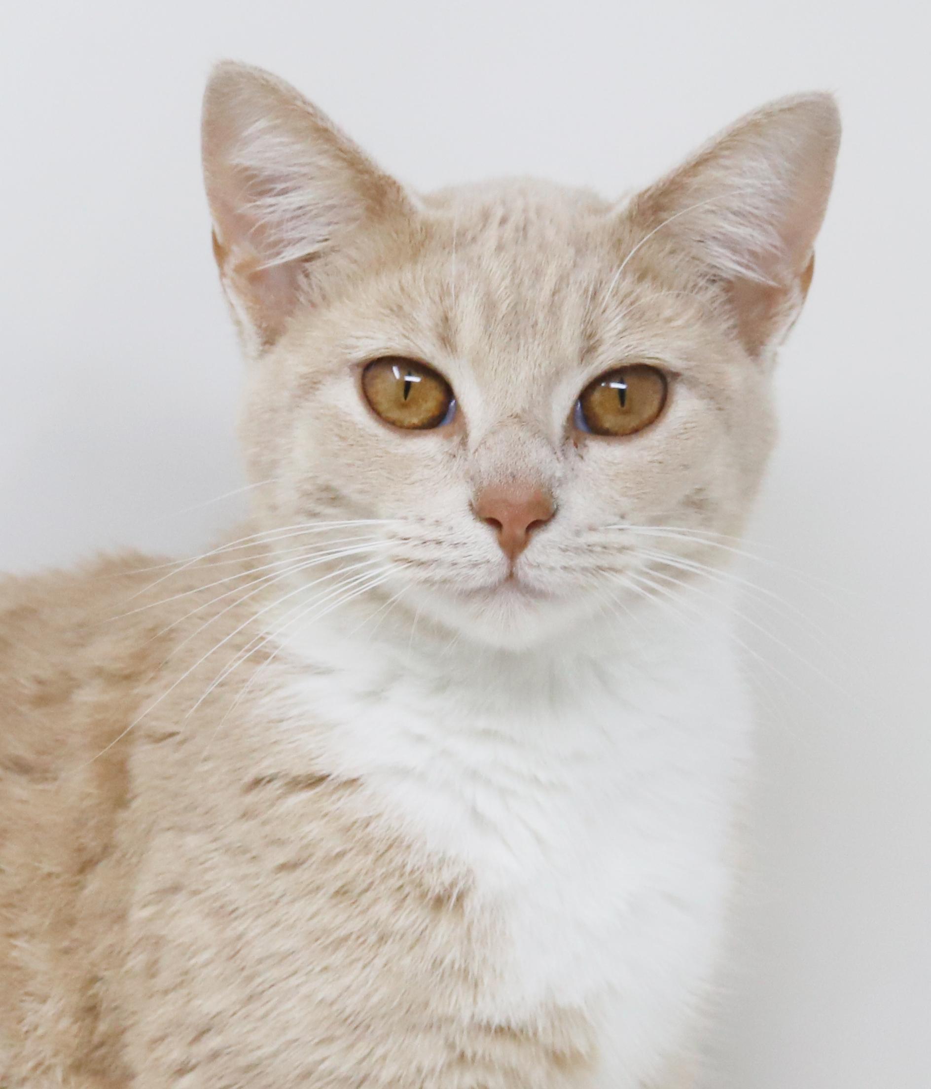 Emma Is Going To thumbnail 3