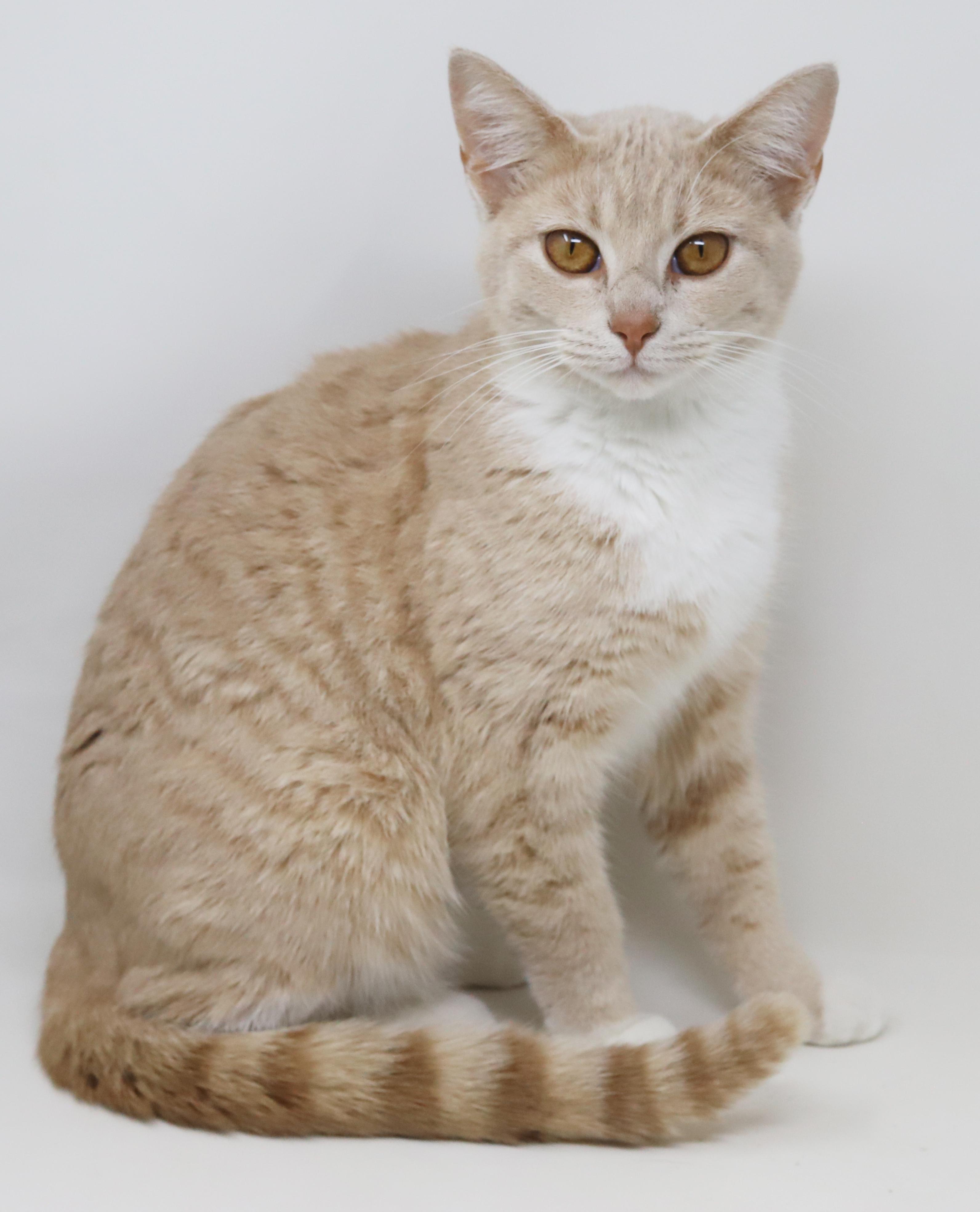 Emma Is Going To thumbnail 4