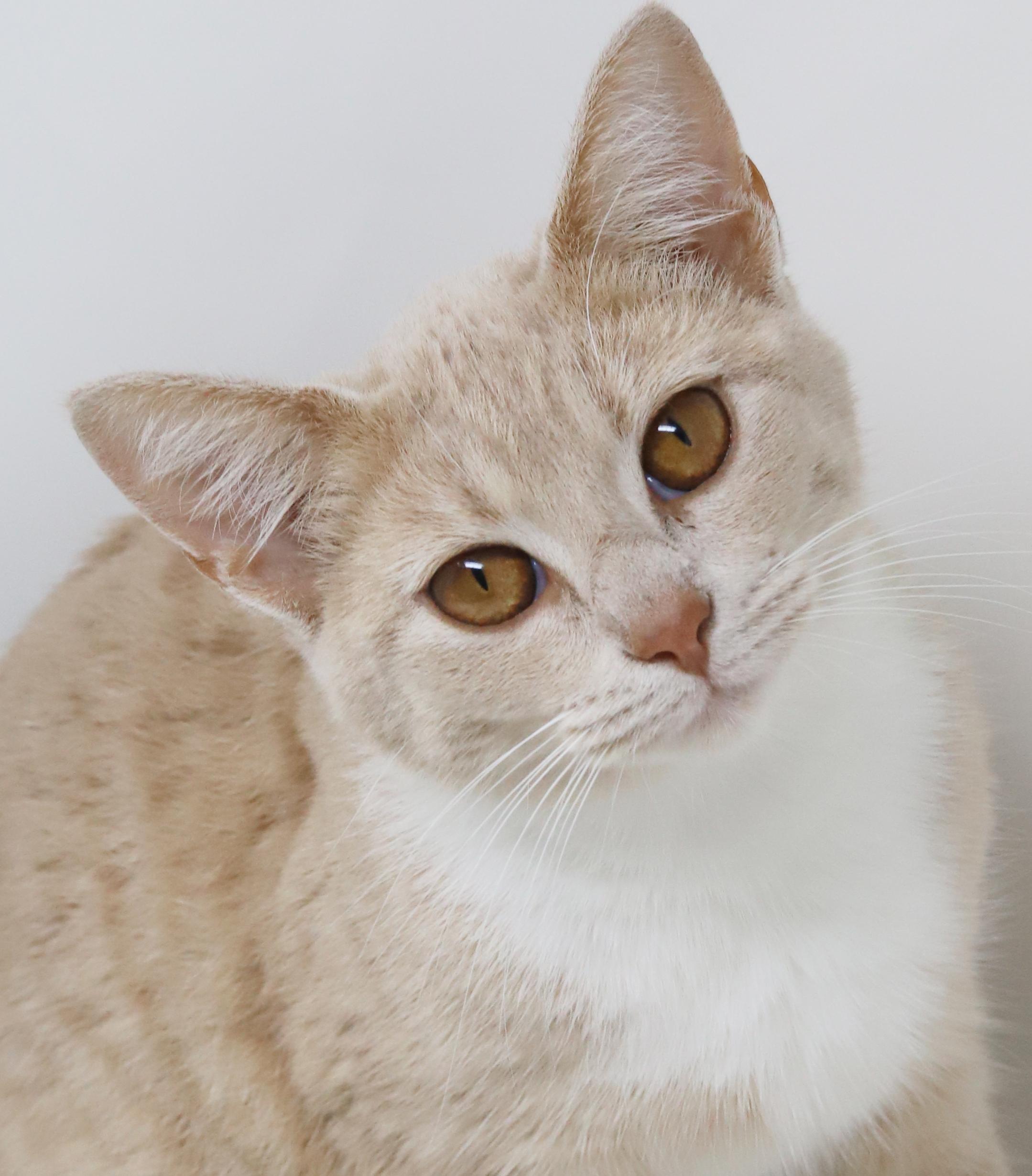 Emma Is Going To thumbnail 5