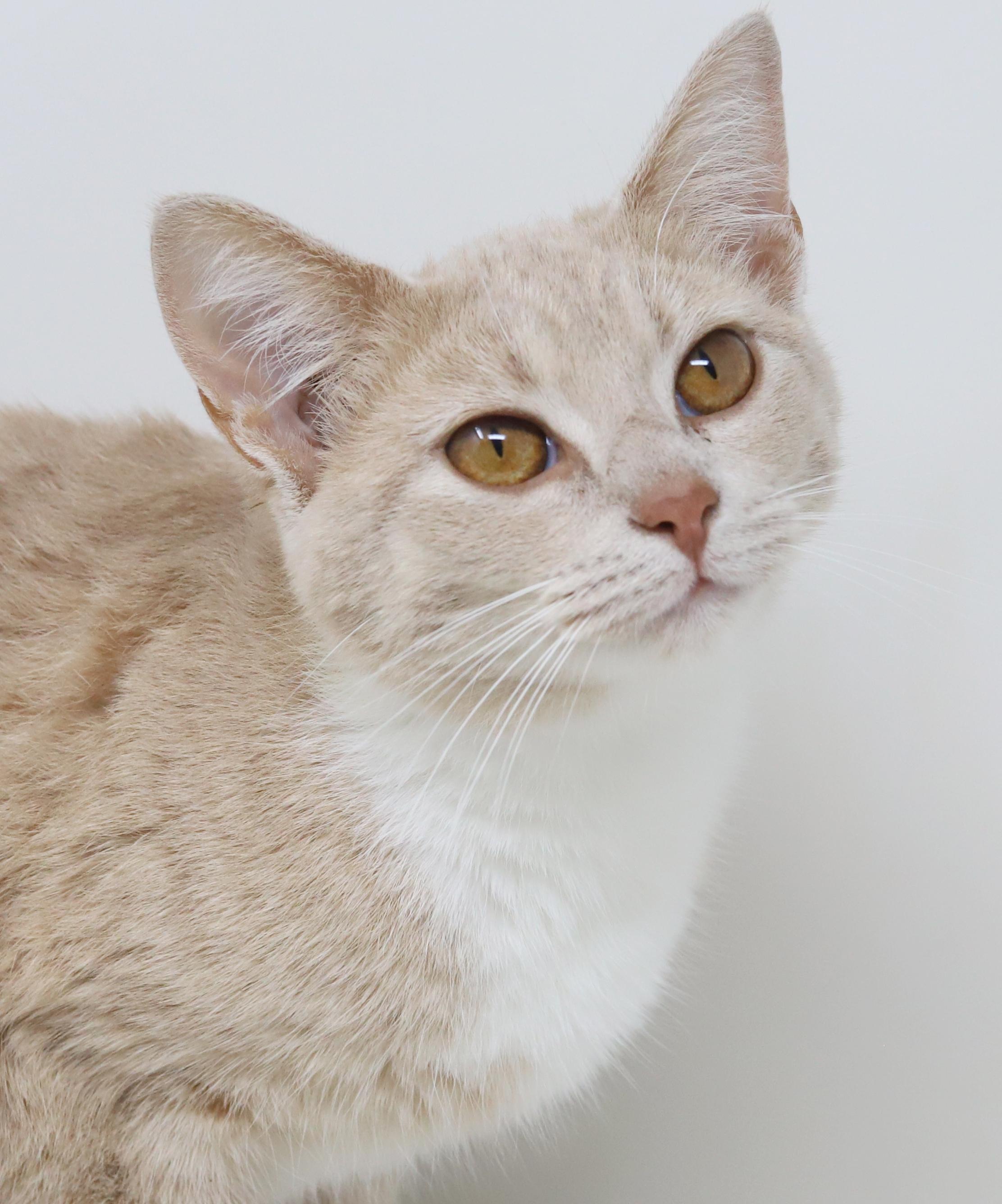 Emma Is Going To thumbnail 6