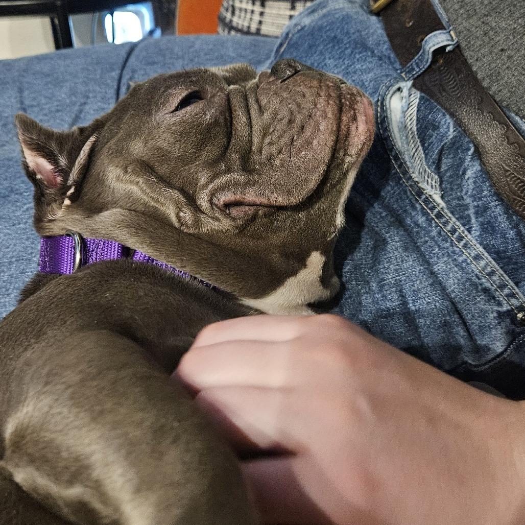 Charlotte — thumbnail 2