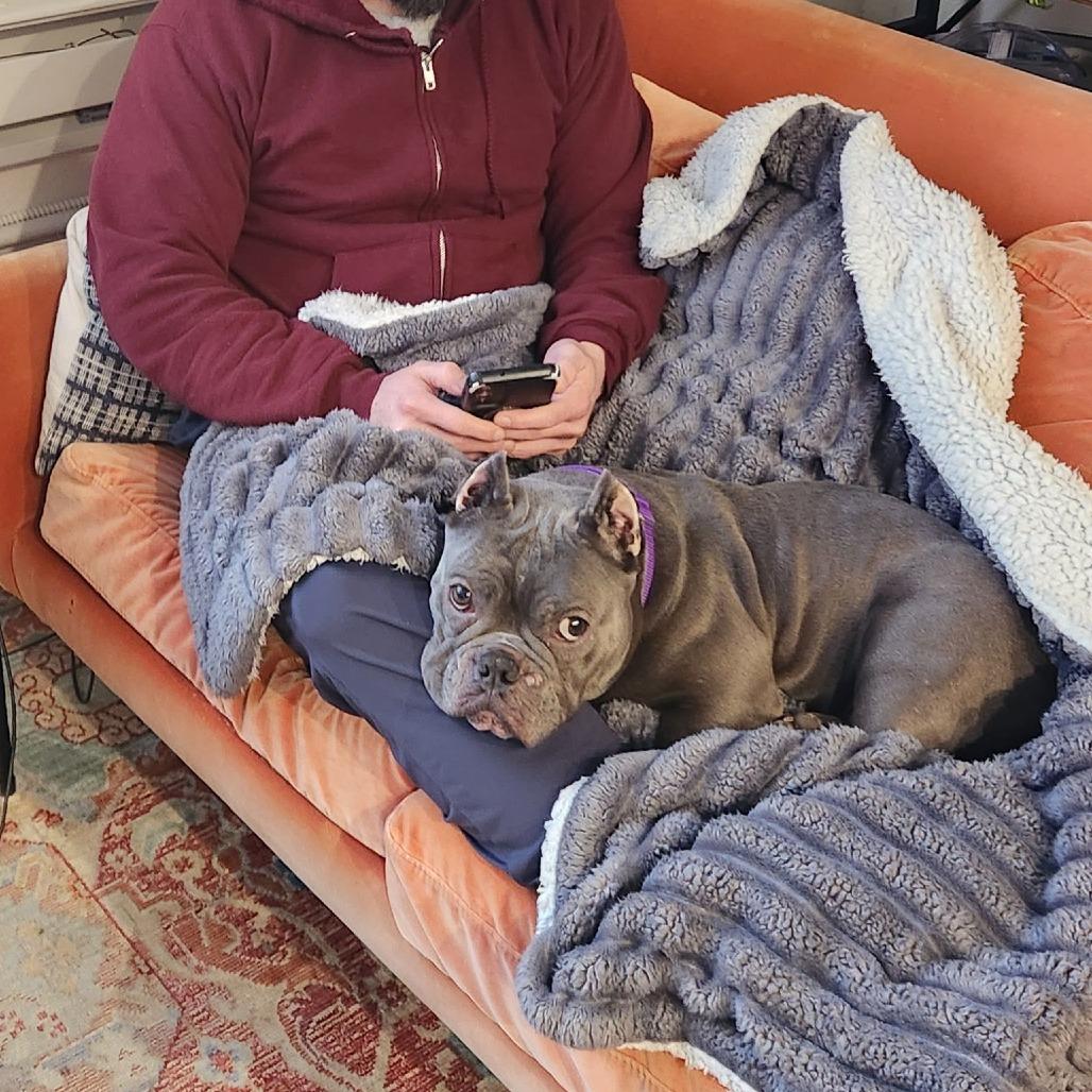 Charlotte — thumbnail 4