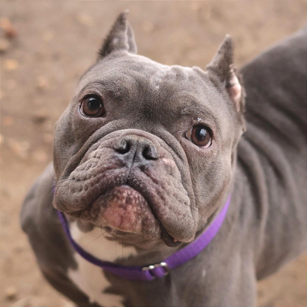 Charlotte — thumbnail 5