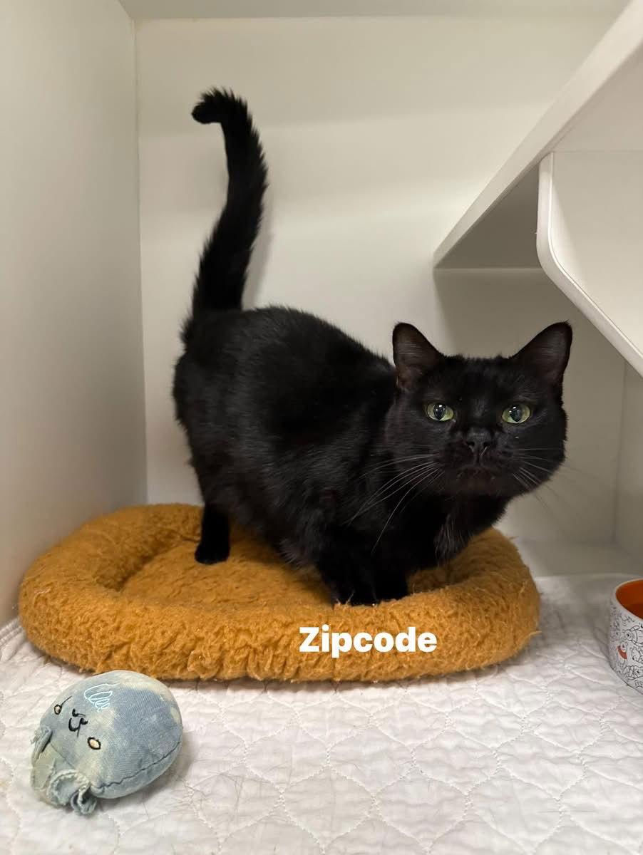 Zipcode — thumbnail 2