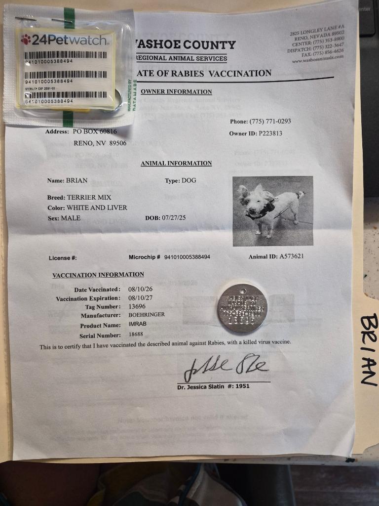 Brian/ A573621, a Adoptable mixed breed in Reno, NV image 2/2