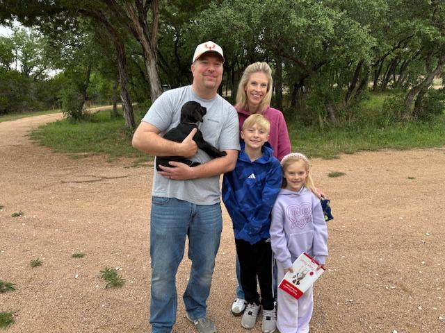Enlarge Laos, a Adoptable Labrador Retriever in Austin, TX image 1/3