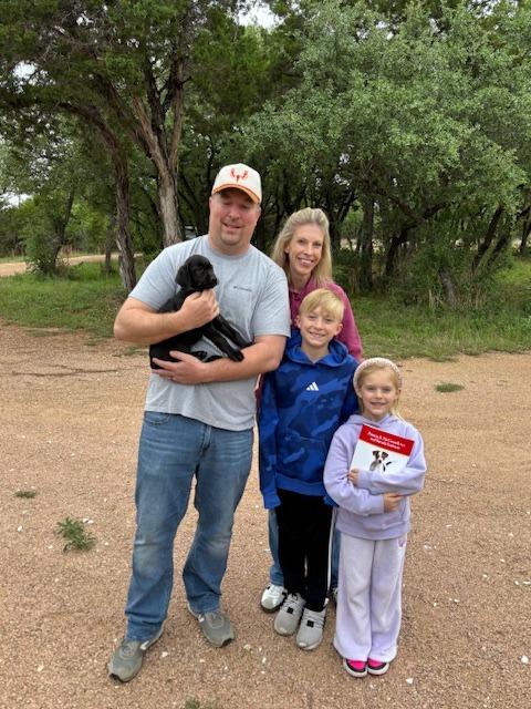 Enlarge Laos, a Adoptable Labrador Retriever in Austin, TX image 3/3