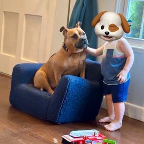 Enlarge SADIE, a ADOPTABLE Bulldog in Chicopee, MA image 4/5