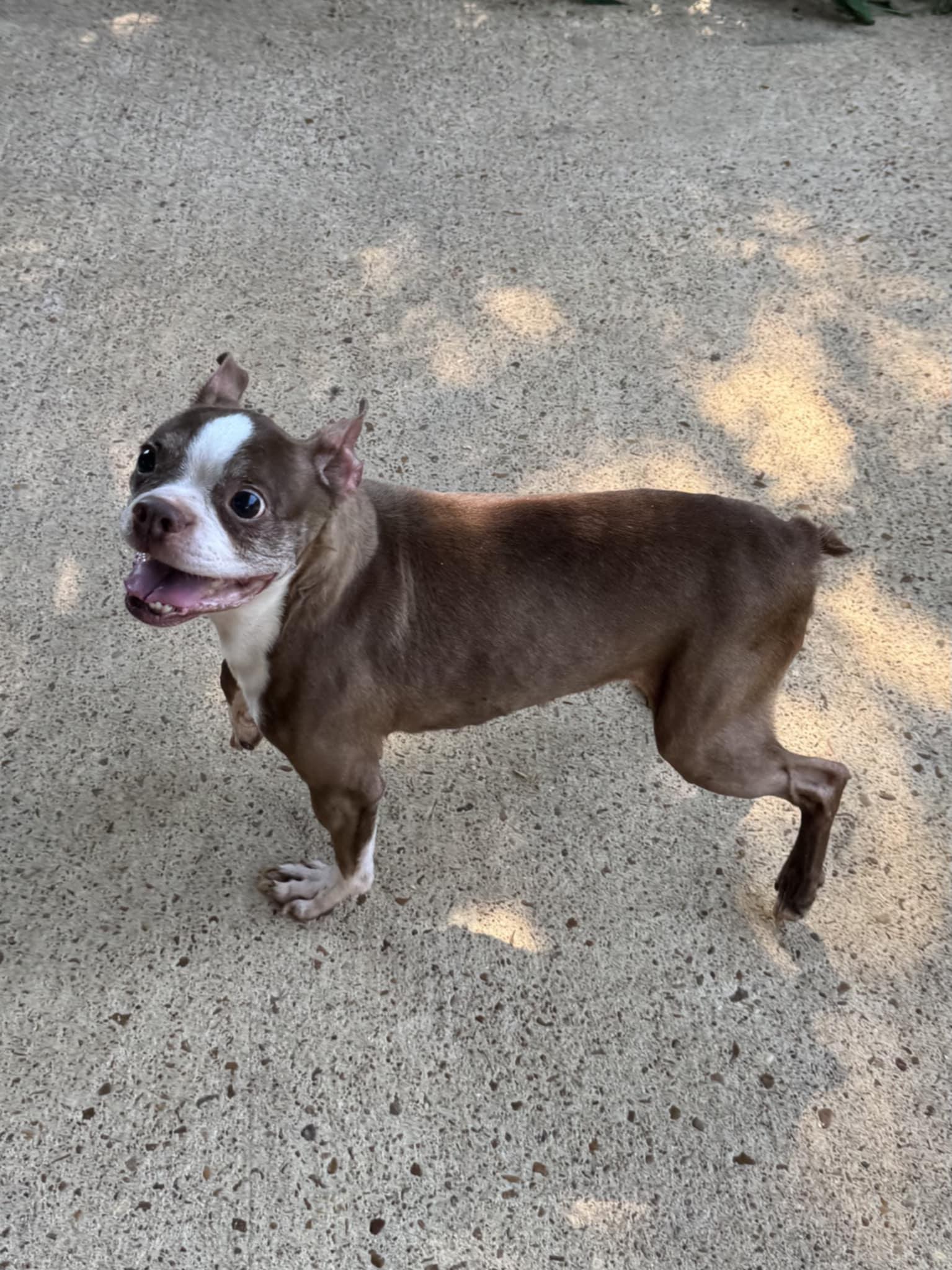 China (Scott-Fostered in TN)