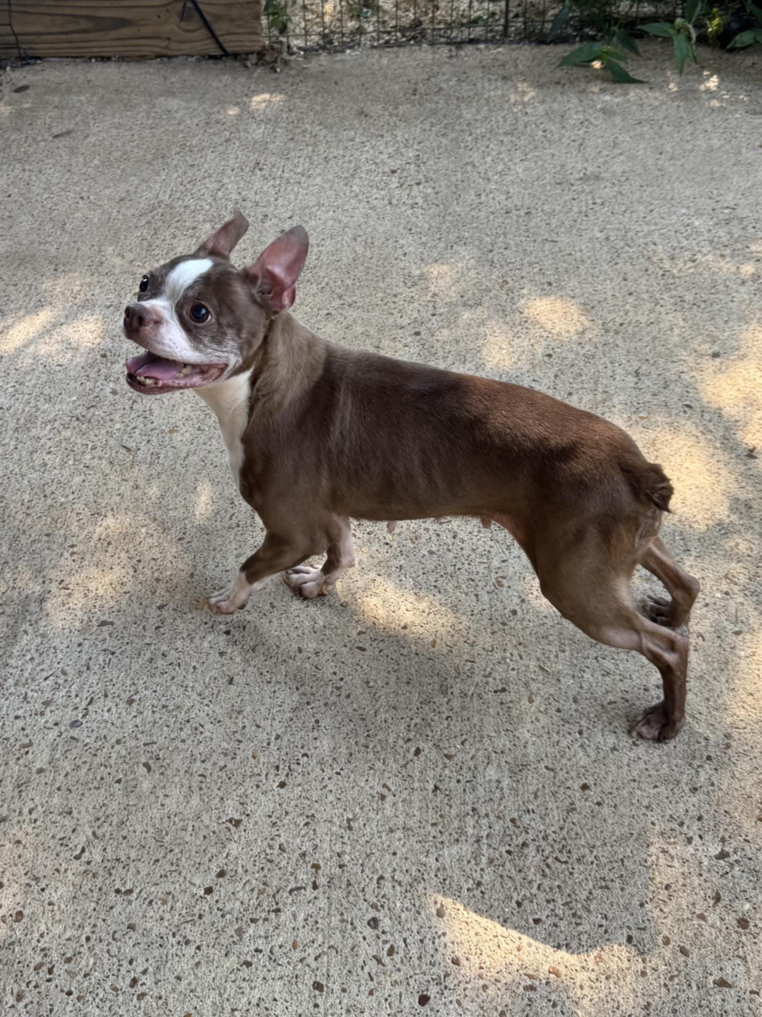 China (Scott-Fostered in TN)