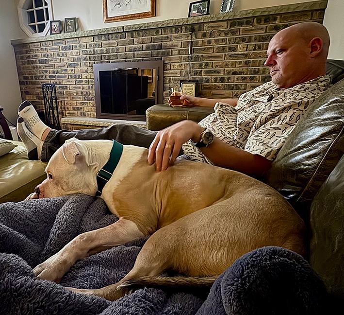 Enlarge Romeo, a ADOPTABLE American Bulldog in Chicago, IL image 4/5