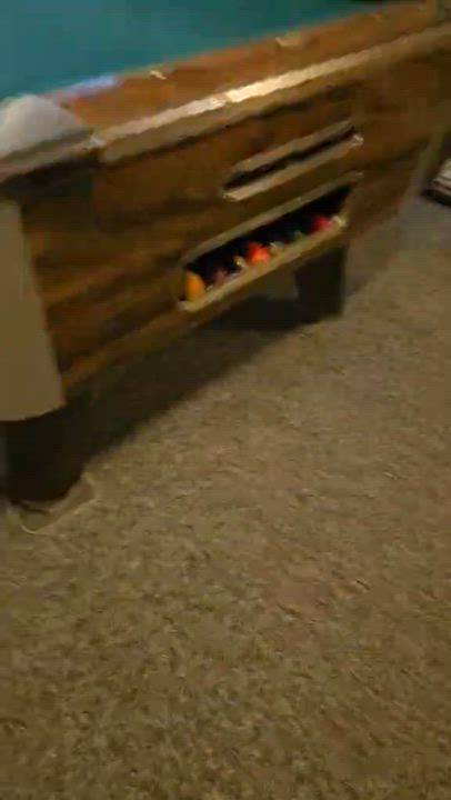 Enlarge Bitsy, a ADOPTABLE mixed breed in Springville, NY video 2/4