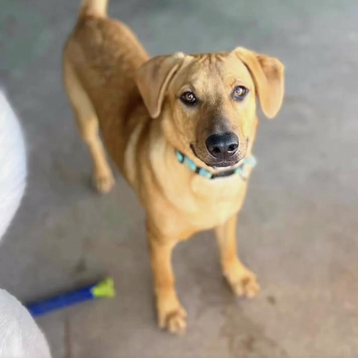 Smitten — thumbnail 2