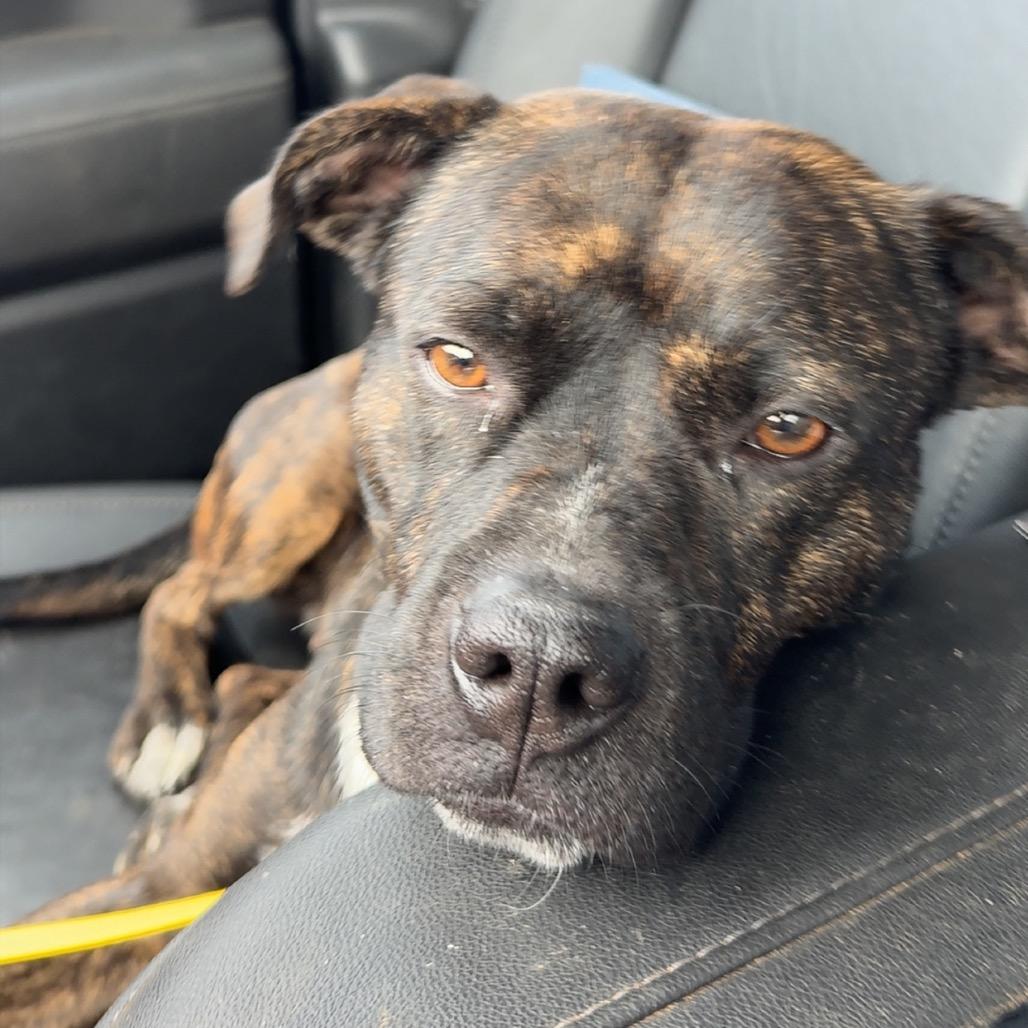 Augusta — thumbnail 2