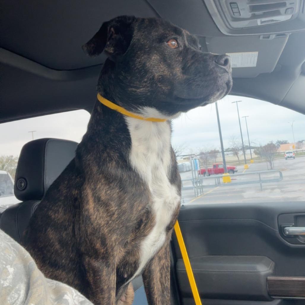 Augusta — thumbnail 5