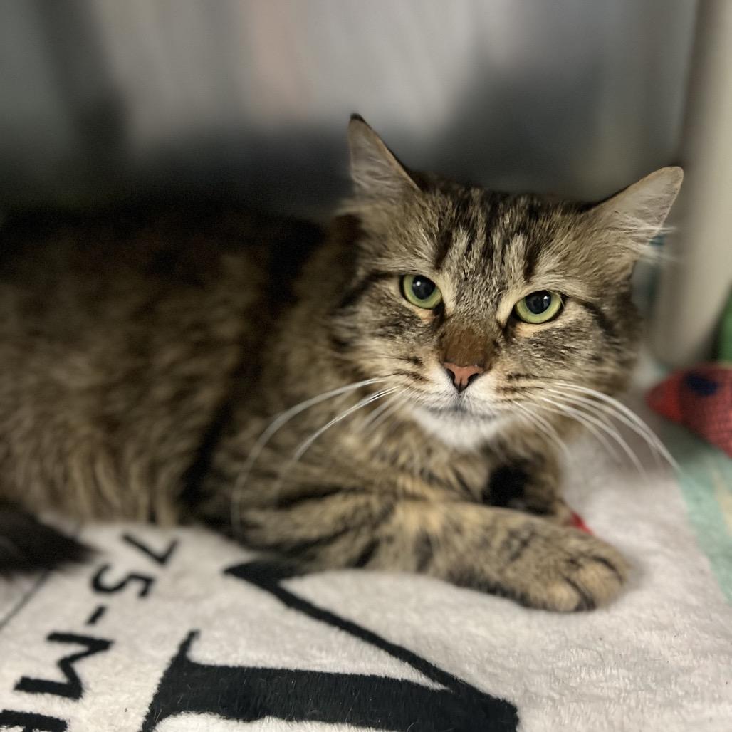 Laura — thumbnail 2