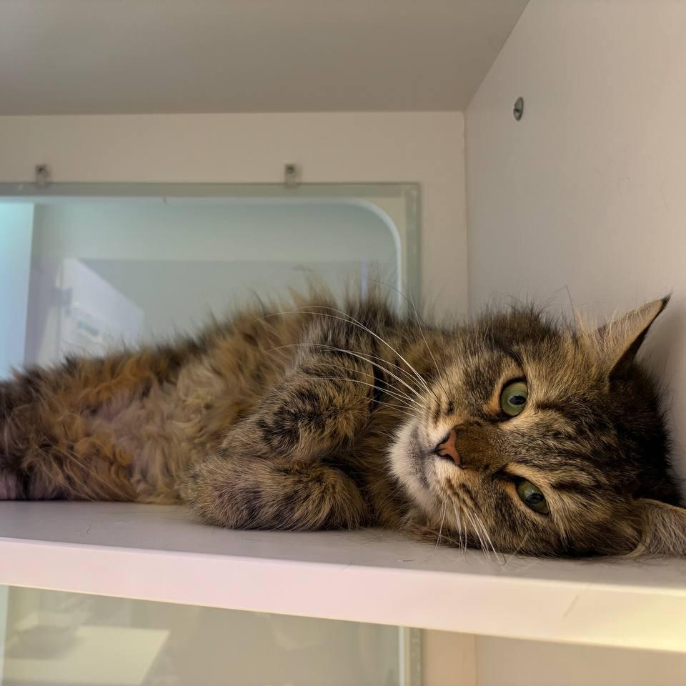 Laura — thumbnail 3