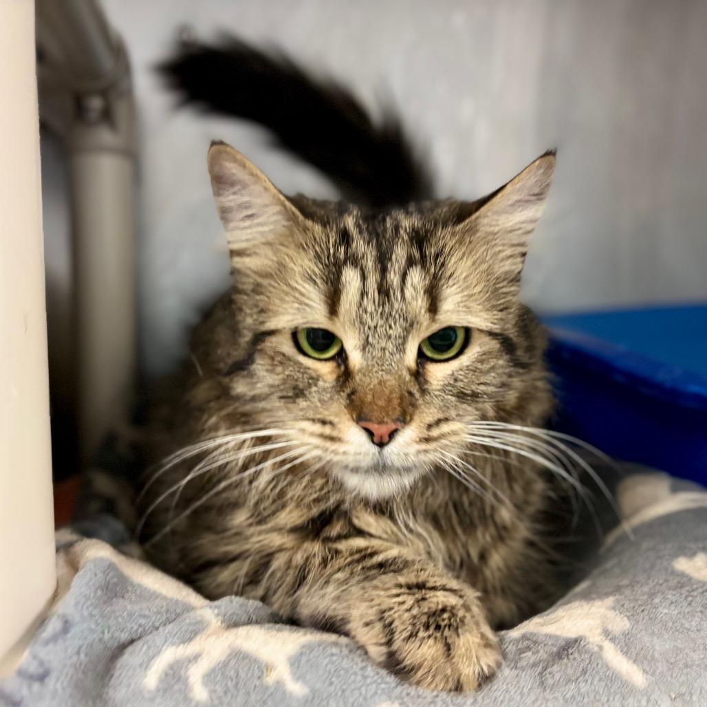 Laura — thumbnail 4