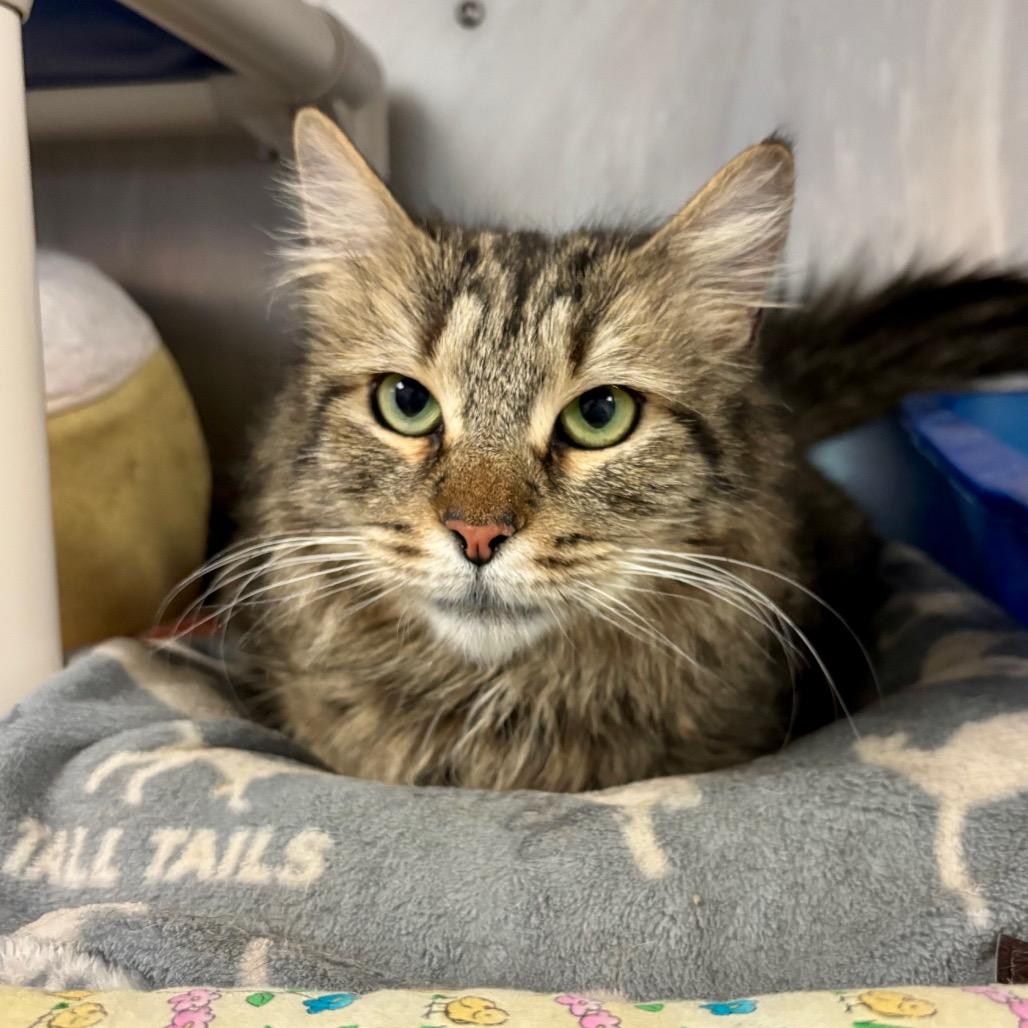 Laura — thumbnail 5