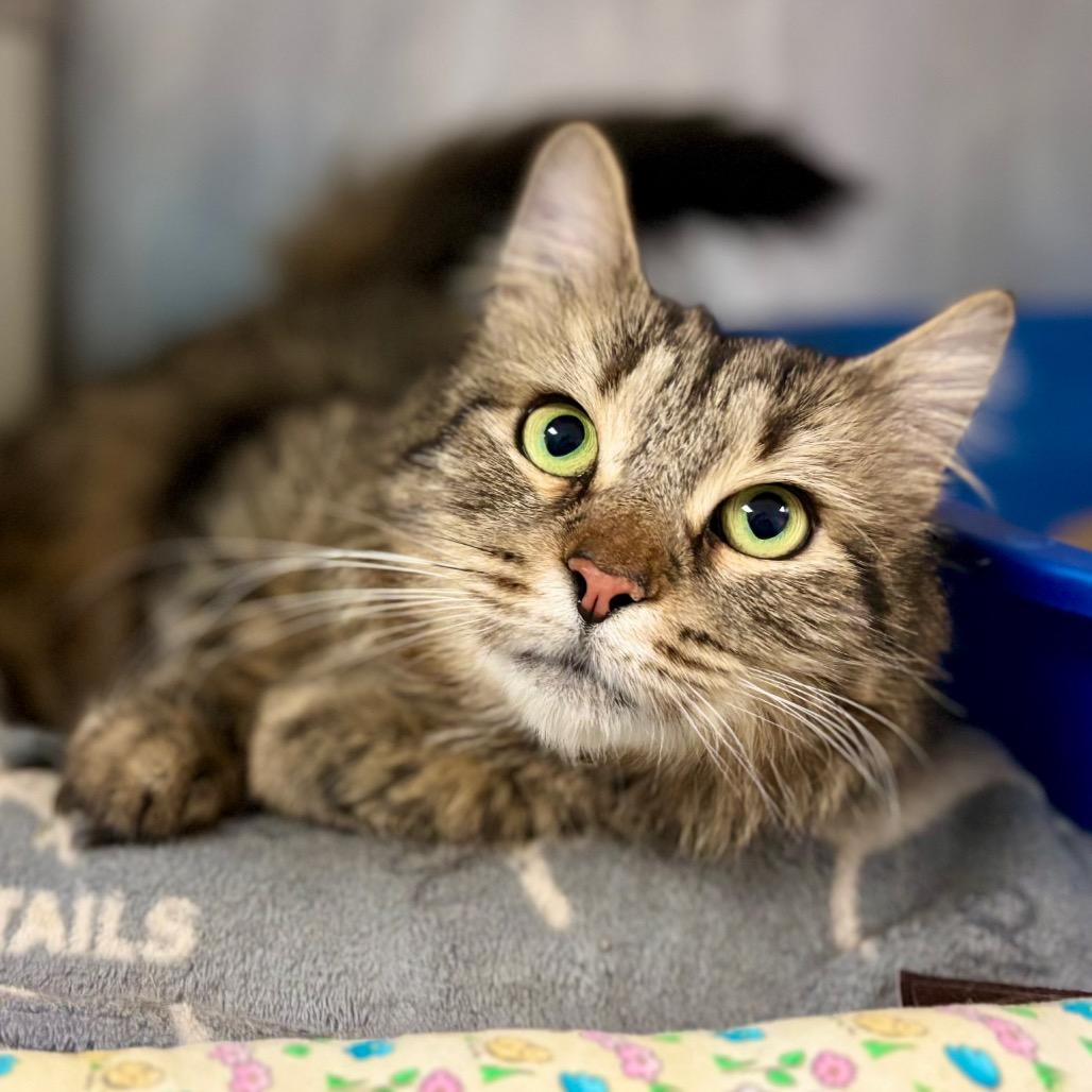 Laura — thumbnail 6