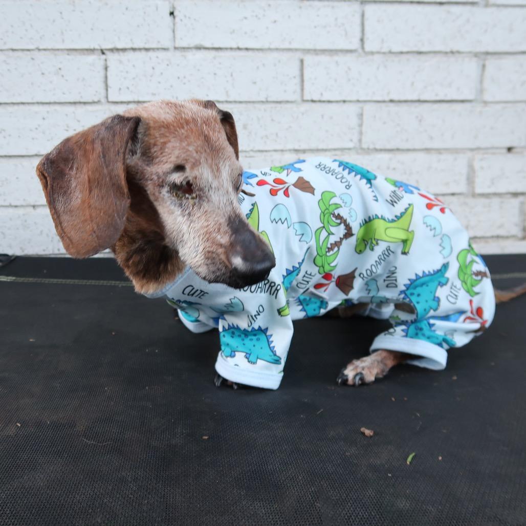 Rusty, a Adoptable mixed breed in Tallahassee, FL image 2/6