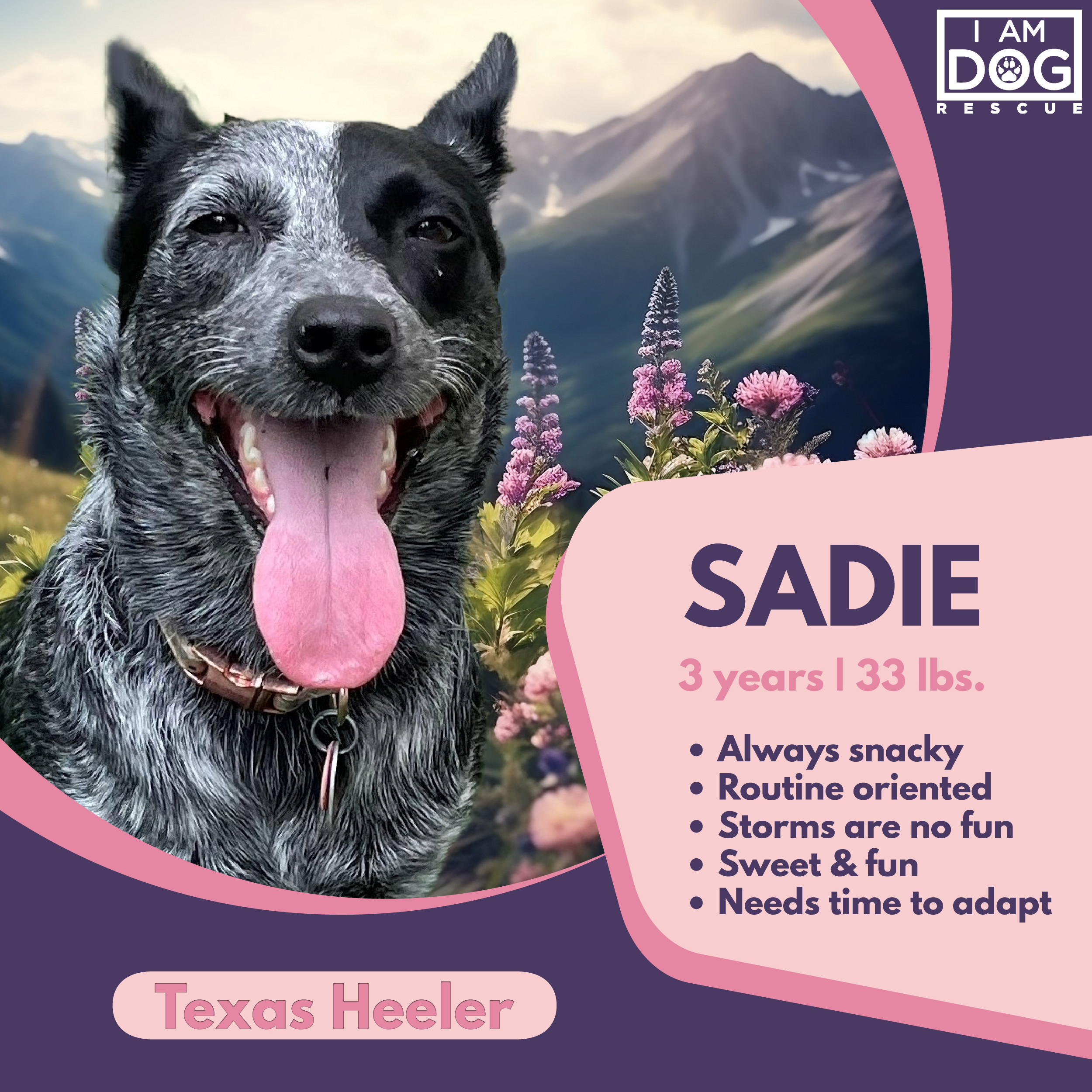 Sadie